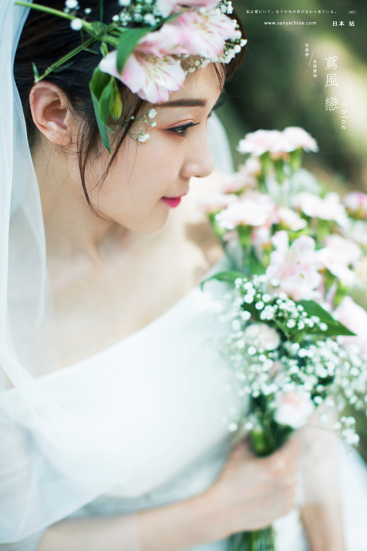 张先生&张女士