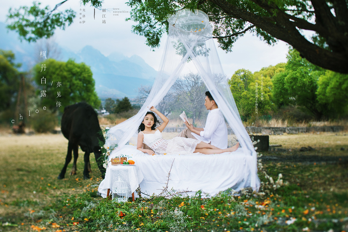 「煮茶赏花 拥抱自然」的婚纱照，才是真正的诗和远方